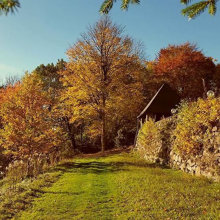 Parkhotel Schwarzenberg - Garni Eksteriør bilde