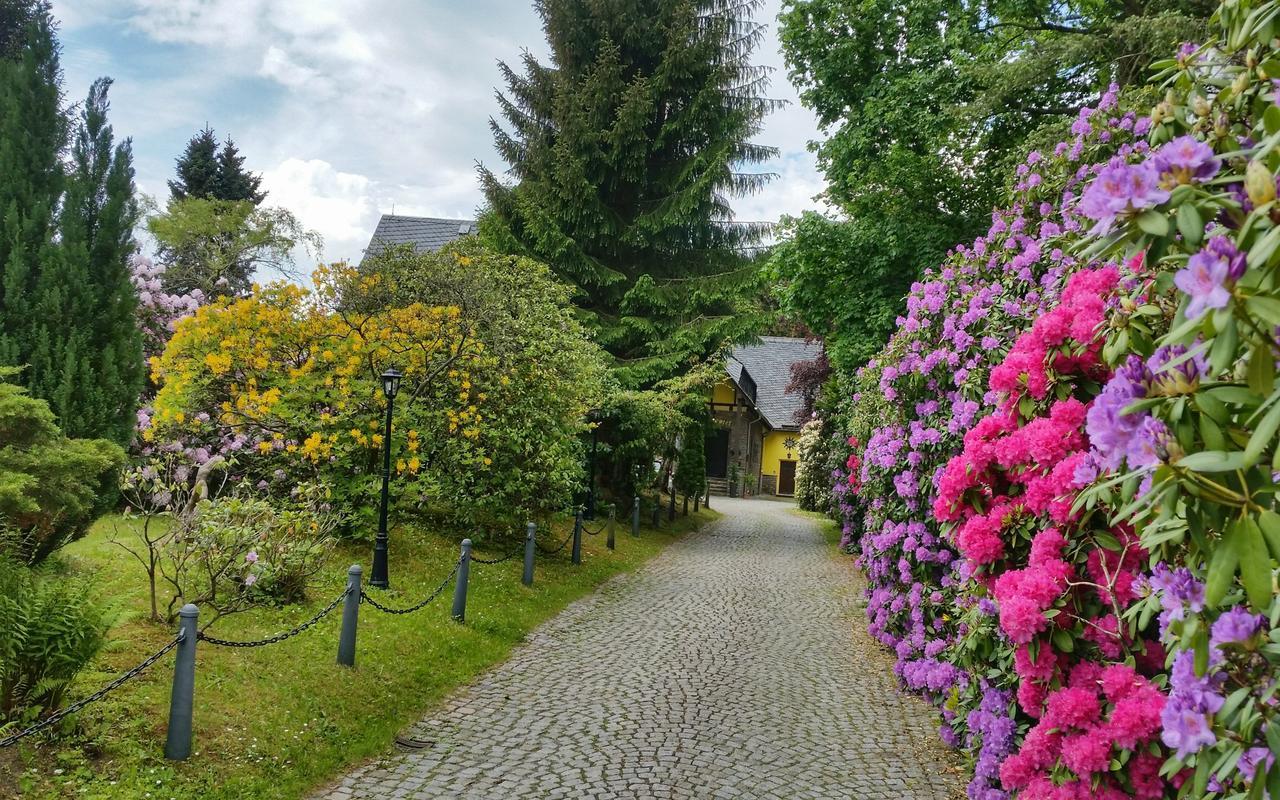 Parkhotel Schwarzenberg - Garni Eksteriør bilde